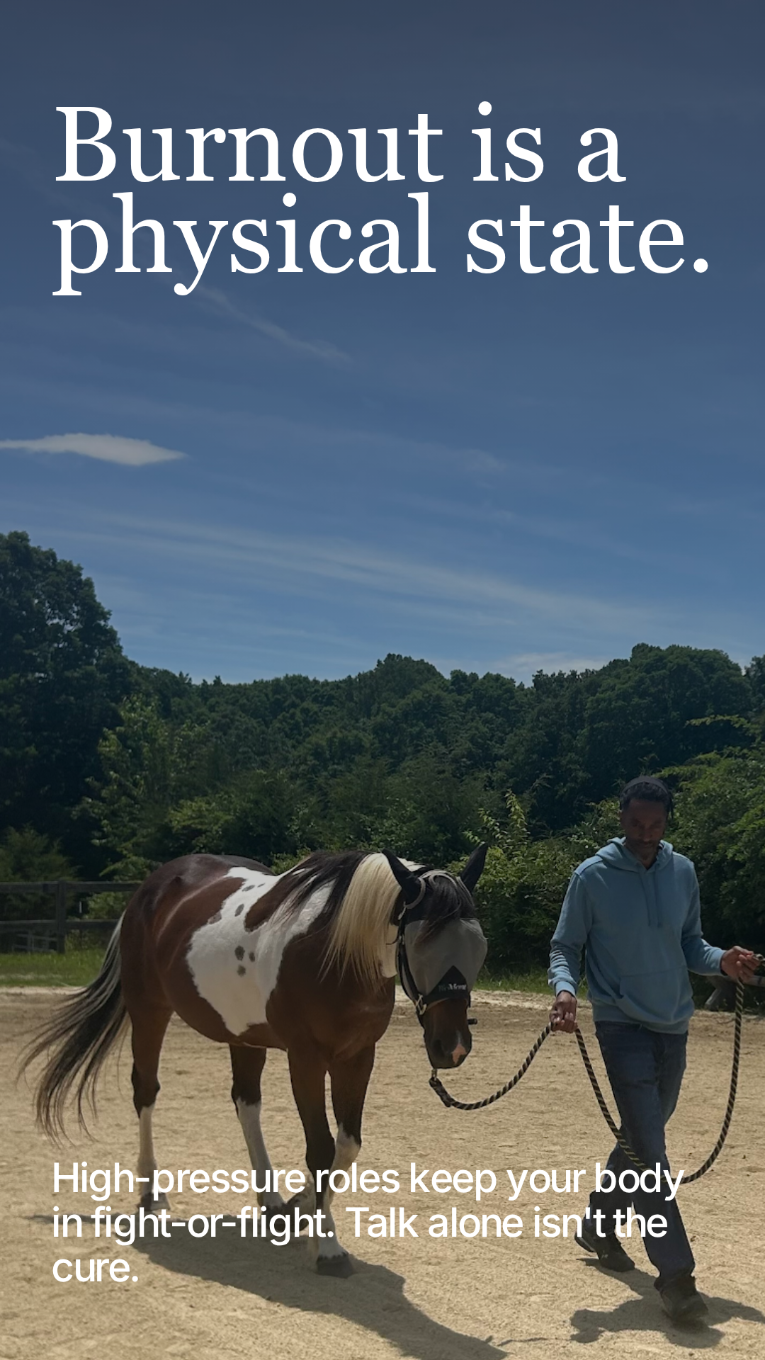 5 Evidence-Based Benefits of Equine Therapy for Veterans with PTSD